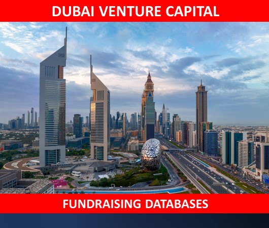 Dubai Venture Capital Investors Database