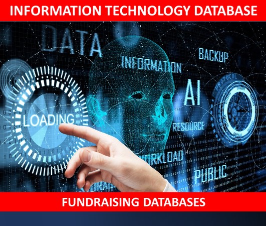 Information Technology Investors Database